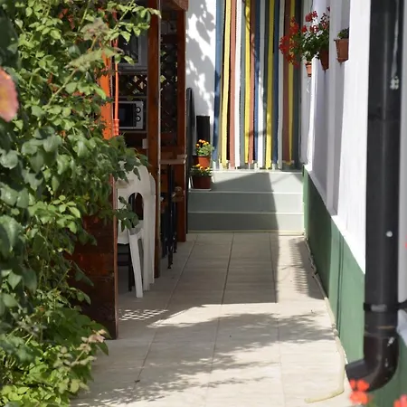 Bed & Breakfast Pensiunea Calutul De Mare *